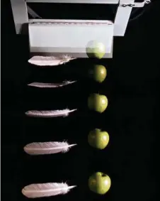  ?? CORBIS/GETTY IMAGES) (JIM SUGAR/ ?? Le principe d’équivalenc­e établi par Galilée se vérifie une fois de plus, que l’on compare la chute d’une plume à celle du plomb ou à celle des pommes.
