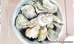  ?? ?? Fresh oysters in New Washington