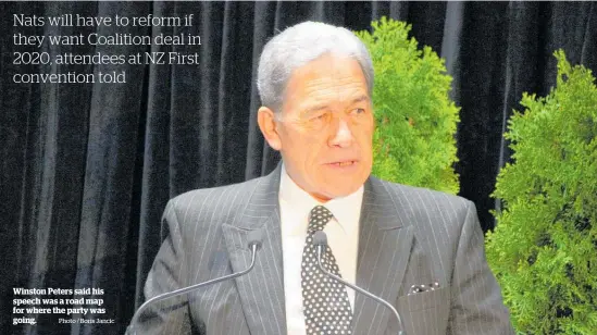  ?? Photo / Boris Jancic ?? Winston Peters said his speech was a road map for where the party was going.