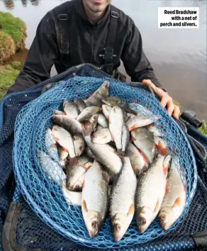  ??  ?? Reed Bradshaw with a net of perch and silvers.