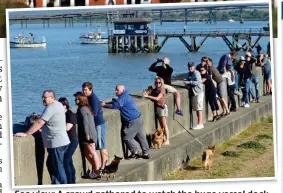  ??  ?? Sea view: A crowd gathered to watch the huge vessel dock