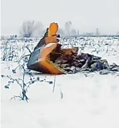  ?? Foto: Uncredited, Life.ru, dpa ?? Dieses Video Standbild zeigt Trümmertei­le eines Flugzeugs vom Typ An 148 auf einer Wiese in der Nähe des Flughafens Domodedowo.