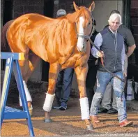  ?? AP PHOTO ?? Justify, led by trainer Bob Baffert, emerges from Barn 33 to meet the public Sunday, the morning after winning the 144th Kentucky Derby at Churchill Downs in Louisville, Ky.