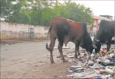  ?? SANJEEV KUMAR.HT ?? The local body scored zero on 1,000 points for garbage-free city parameters.