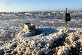  ?? BILD: MARGARETA LINDGREN ?? Laholmspol­itikern Margareta Lindgren (MP) tog denna bild på stranden vid stormen Malik i januari 2023. Den här typen av strandskum kan innehålla extremt höga halter PFAS, visar forskning.