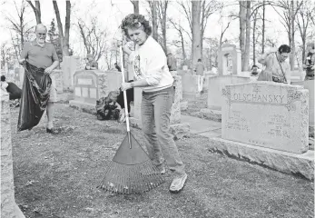  ?? MICHAEL THOMAS, GETTY IMAGES ?? Volunteers clean up Chesed Shel Emeth Cemetery in Missouri. The cemetery was one of the latest targets of vandalism.