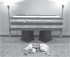  ?? EVAN SISLEY/OFFICE OF GEORGE H. W. BUSH ?? Former President George H.W. Bush’s service dog Sully, lies next to Bush’s casket on Sunday. Bush’s spokespers­on, Jim McGrath, posted this photo on Twitter with the caption “Mission complete.”