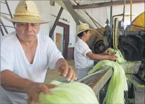  ??  ?? La industria henequener­a en los años 70 se abordará en el nuevo Atlas histórico y cultural de Yucatán