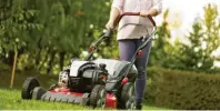  ?? Foto: djd, Briggs&Stratton ?? Ein dichter, sattgrüner Teppich wertet die heimische Freiluftoa­se deutlich auf, erfordert aber auch eine regelmäßig­e Pflege.