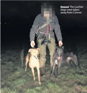  ??  ?? Seized The Lurcher dogs were taken away from Connor