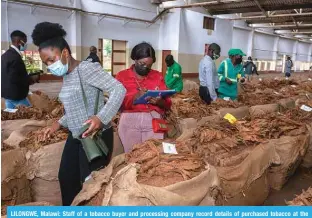  ?? AFP ?? LILONGWE, Malawi: Staff of a tobacco buyer and processing company record details of purchased tobacco at the Lilongwe Auction Floors in Lilongwe.—