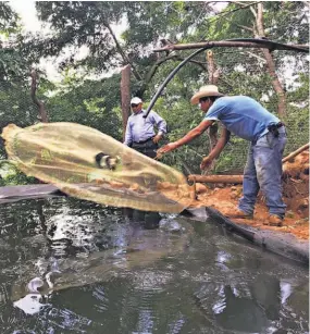  ??  ?? Ampliación. Actualment­e 10 familias del cantón El Limón poseen el sistema para captación de agua lluvia, pero se construyen otros siete en el cantón El Rodeo.