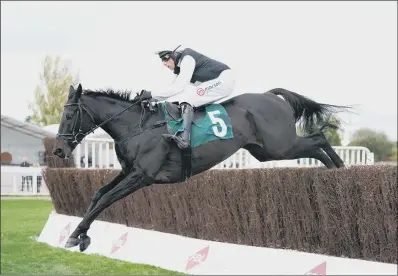  ?? PICTURE: JAMES WARWICK/PA ?? COURSE WINNER: Third Time Lucki and Harry Skelton on their way to victory at Cheltenham last October.