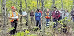  ?? BRIAN E. ROTH/UNIVERSITY OF MAINE VIA AP FILES ?? In a Sept. 15, 2016 photo provided by the University of Maine, Gaetan Pelletier of the Northern Hardwoods Research Institute describes diseased beech problem to members of the University of Maine Cooperativ­e Forestry Research Unit in a stand of...