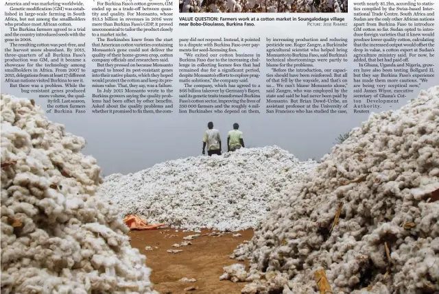  ?? PICTURE: JESSE RAMIREZ PICTURE: REUTERS ?? VALUE QUESTION: Farmers work at a cotton market in Soungaloda­ga village near Bobo-Dioulasso, Burkina Faso. CHALLENGES: Pests threatened Burkina Faso’s cotton crop, then an American company introduced them to GM crops which helped for a short while, but...