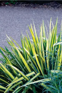  ??  ?? Turn your small garden into a relaxing retreat