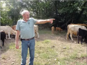  ?? CAROL ROLF/CONTRIBUTI­NG PHOTOGRAPH­ER ?? James Parker discusses a herd of cattle he has grazing on one of several pastures he maintains in Garland County. Parker’s cattle operation includes 45 to 50 Gelbvieh crossbred cows, a Black Angus bull, a Red Angus bull and a Gelbvieh crossbred bull.