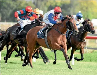  ?? PHOTO: RACE IMAGES ?? Savvy Coup has drawn barrier 13 for Saturday’s Group I New Zealand Oaks.