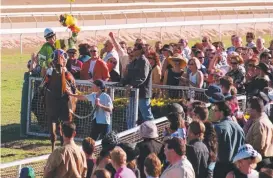  ??  ?? CROWD FAVOURITE: Party King after the 2001 Townsville Cup.