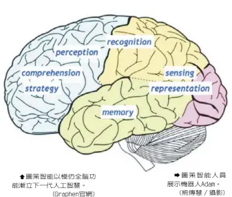  ??  ?? 圖策智能以模仿全腦功­能漸立下一代人工智慧。(Graphen官網)
圖策智能人員展示機器­人Adam。(熊傳慧／攝影)