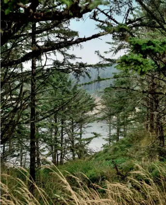  ??  ?? Trailside in Cape Arago, one of several state parks on Oregon’s coast.