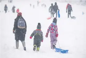  ?? PHOTO: PAUL GILLIS ?? Sledging at Arnos Vale Park as snow swept across the West and closed schools for the day in February 2019