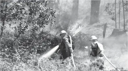  ??  ?? EN LO QUE VA DE ESTA TEMPORADA en la Provincia se han combatido 143 incendios.