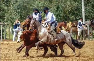  ??  ?? GANADORES. Joaquín Otegui y Juan Salustiano Peirano los Campeones Nacionales de Paleteada.