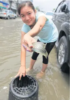  ??  ?? LEFT A woman pulls a fish from a flooded road near Ratwinit Bangkaeo School in Samut Prakan’s Bang Phli district. SOMCHAI POOMLARD