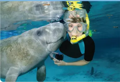  ?? ?? SWIM WITH MANATEES IN CRYSTAL RIVER • VISIT CITRUS