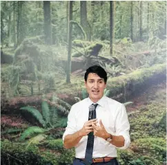  ?? ADRIAN WYLD / THE CANADIAN PRESS ?? Liberal Prime Minister Justin Trudeau says Conservati­ve Leader Andrew Scheer and Ontario Premier Doug Ford want to “make pollution free again.” Scheer and Ford have called a federal carbon tax a job-killing cash-grab.