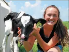  ?? LISA MITCHEL L— DIGITAL FIRST MEDIA ?? The Lesher family of Bernville received the 2018 Berks County Outstandin­g Farm Family, sponsored by the Berks County Grange and the Reading Fair. Pictured on the family dairy farm is Olivia Lesher, 16, with one of her calves.