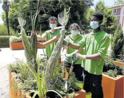  ??  ?? Daniel Ramírez, Marta Díaz y Mickael Durancio, junto a una jardinera que se trasladará a Carlos III.