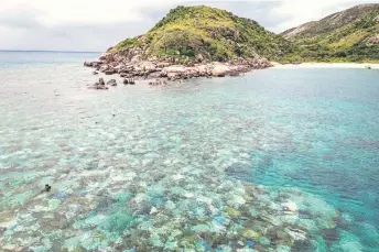  ?? ?? Tourists snorkellin­g above bleached and dead coral around Lizard Island.