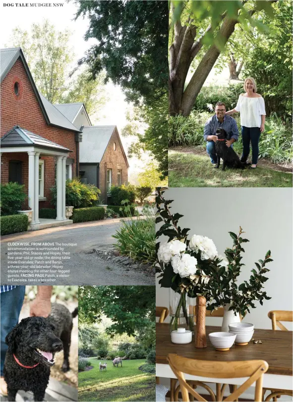  ??  ?? CLOCKWISE, FROM ABOVE The boutique accommodat­ion is surrounded by gardens; Phil, Stacey and Hopey, their five-year-old groodle; the dining table inside Evanslea; Patch and Banjo, a three-year-old labrador; Hopey enjoys meeting the other four-legged guests. FACING PAGE Patch, a visitor to Evanslea, takes a breather.