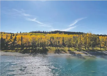  ?? STEVEN WILHELM ?? The Harvie family says they would have cancelled the land donation that created Glenbow Ranch park if they were aware of dam plan.