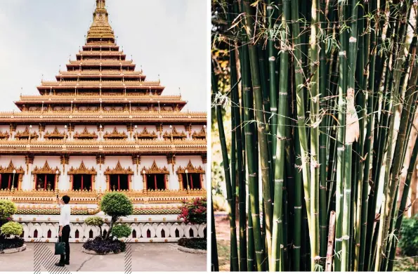  ??  ?? Above, from left: Wat Nong Waeng in Khon Kaen; a stand of bamboo on the grounds of Mekong Villas. Opposite, clockwise from
top left: Inside the meditation room at Supanniga Home; the spiritual leader of Dansai, a town near Phunacome Resort;...