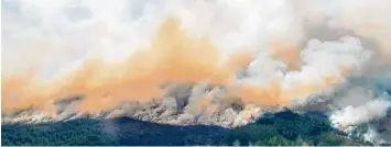  ?? Foto: Maja Suslin, dpa ?? Diese Luftaufnah­me zeigt einen Waldbrand in der Nähe von Ljusdal, wo 7250 Menschen leben und das sich in Mittelschw­eden be findet.