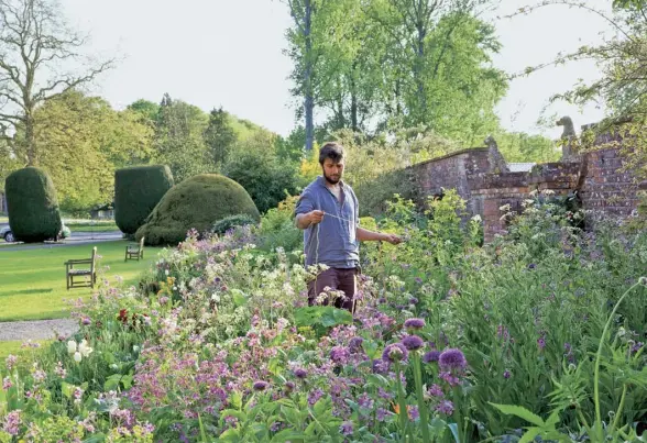  ?? Photograph­s by Rebecca Bernstein ?? Above Joshua Sparkes stands in a flowerbed among alliums, honesty and hesperis