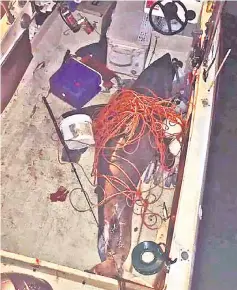  ??  ?? Picture shows the 2.7 metres great white shark, which leapt into the boat of fisherman Terry Selwood, near Evans Head in northern New South Wales state. — AFP photo