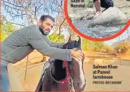 ?? PHOTOS: INSTAGRAM ?? Salman Khan at Panvel farmhouse