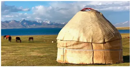  ??  ?? Idyllic isolation: Camel riding in the Gobi desert, top, and wild horses at a ger camp in Mongolia