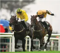  ?? BRIAN LAWLESS/PA AND SEB DALY/SPORTSFILE ?? Calie Du Mesnil, ridden by David Mullins (right), on the way to winning the novice hurdle. Below, Jamie Codd steers You Raised Me Up to victory in the flat race