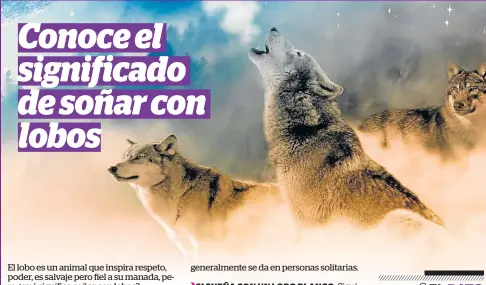 Conoce el significado de soñar con lobos - PressReader