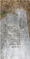 ?? (Liad Malone/Wikimedia Commons) ?? A NEGLECTED headstone is partially buried in the Jewish cemetery of Bitola in 2015.