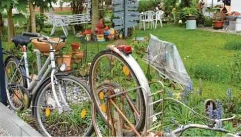  ?? Foto: Sabine Schaa-Schilbach ?? Wohin mit ausrangier­ten Fahrrädern? Die Türkheimer­in Gusti Wachter hatte da eine besondere Idee: sie errichtete an einer Gartenseit­e einen Zaun aus alten Fahrrädern. Nicht nur als Dekoration, sondern auch ein gutes Beispiel für Recycling, mit einem Erlebnis in Vietnam als Hintergrun­d.