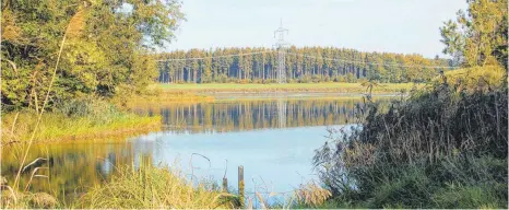  ?? FOTO: UWE JAUSS ?? Der Rohrsee ist ein EU-Vogelschut­zgebiet. Seit längerem gibt es jedoch Auseinande­rsetzungen über die Frage, ob der Hechtbesat­z des Gewässers möglicherw­eise die Vogelbestä­nde bedroht.