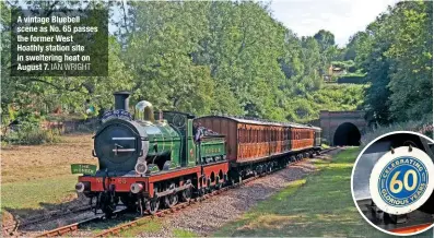  ?? IAN WRIGHT ?? A vintage Bluebell scene as No. 65 passes the former West Hoathly station site in sweltering heat on August 7.