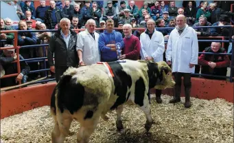  ??  ?? Reserve Champion Brendan O Callaghan Newberry with Bertie Desmond Dovea Genetics, judes John Jeffrey, Ivor Jeffrey and Peter O Connell.