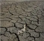  ?? ARMANDO FRANCA/THE ASSOCIATED PRESS ?? More than 80 per cent of Portugal is officially classified as enduring “severe” or “extreme” drought conditions.